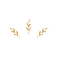 Detalle ilustrado de Barcos de Nata